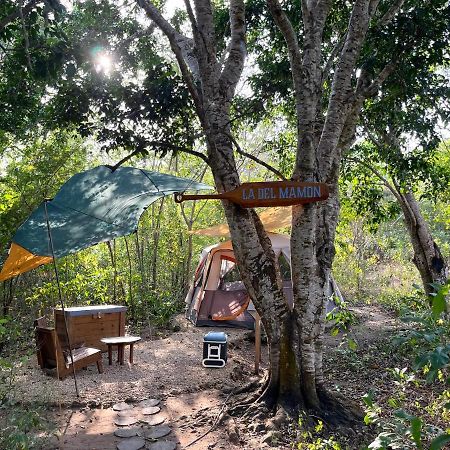 Cayuco Camping Baru Hotel Santa Ana  ภายนอก รูปภาพ